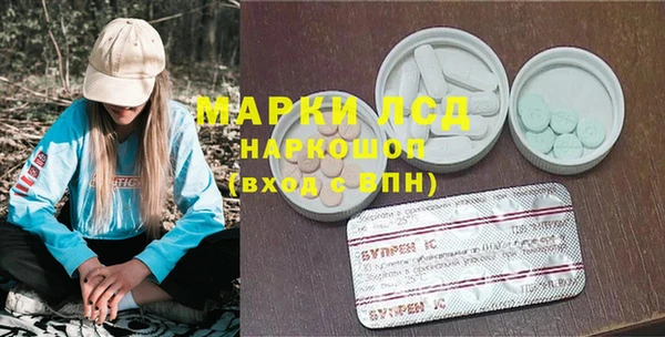 ПСИЛОЦИБИНОВЫЕ ГРИБЫ Сатка