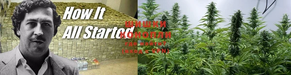 ПСИЛОЦИБИНОВЫЕ ГРИБЫ Сатка