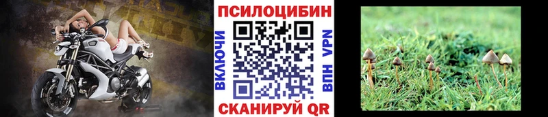 Галлюциногенные грибы Magic Shrooms  Купить где  Дмитровск 